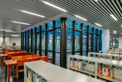 Casino Lion Wins App Mobile